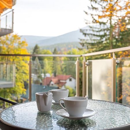 Stone Hill C38 Apart Invest- Z Dostepem Do Basenu, Sauny Sklářská Poruba Exteriér fotografie